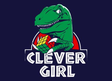 clevergirl_fullpic_artwork_1